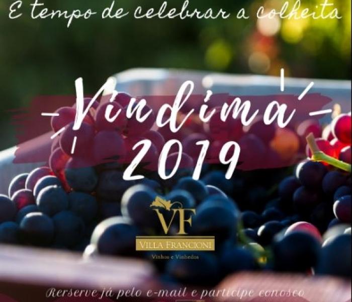 Atrações especiais marcam a Vindima 2019 na Villa Francioni